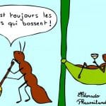 fourmis paresseuse